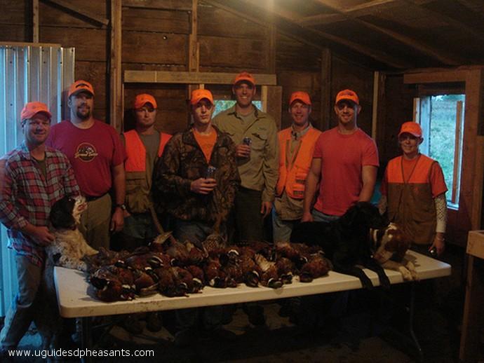 Pheasant Hunting Photo